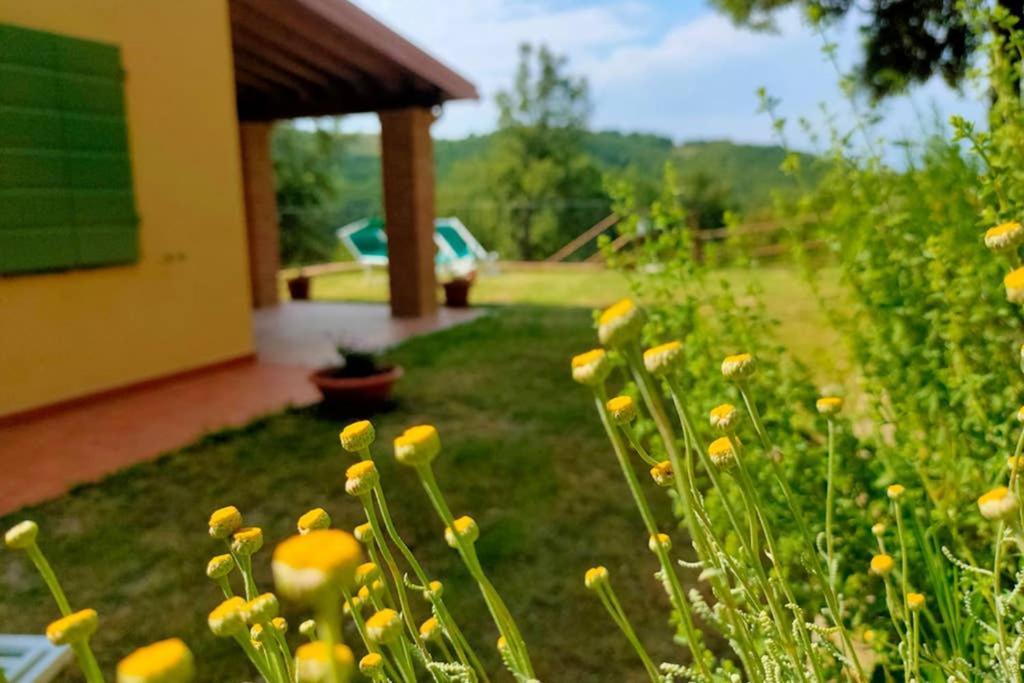 Villa Con Piscina 10 Posti Letto, L'Oliveta Di Rivalto Chianni Exterior photo